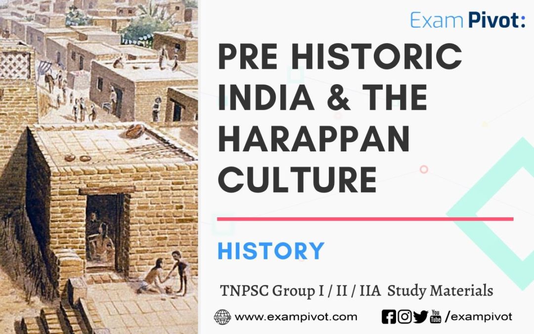 Pre Historic India and The Harappan Culture