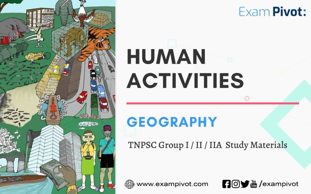 Human Activities