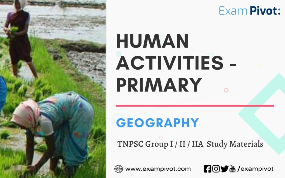 Human Activities – Primary